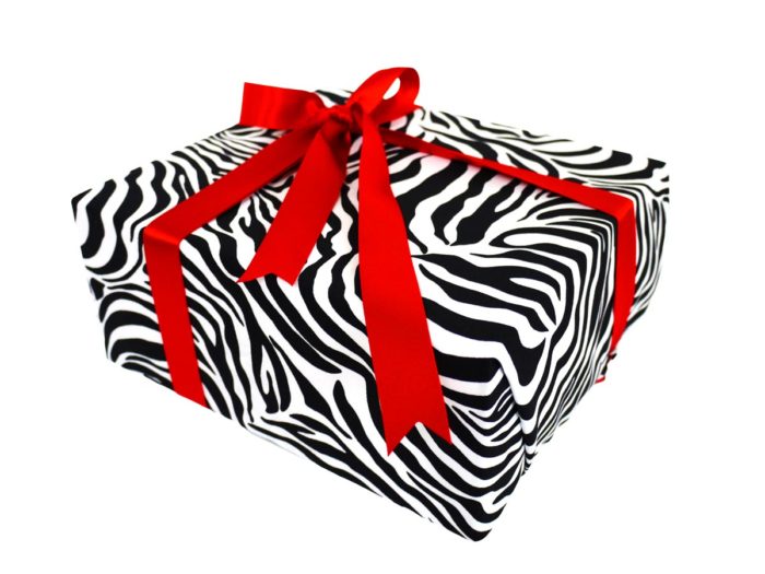 Zebra - Image 9