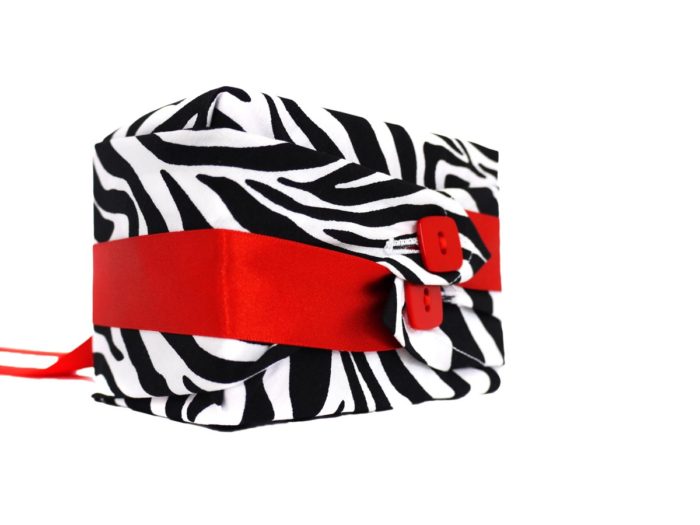 Zebra - Image 6